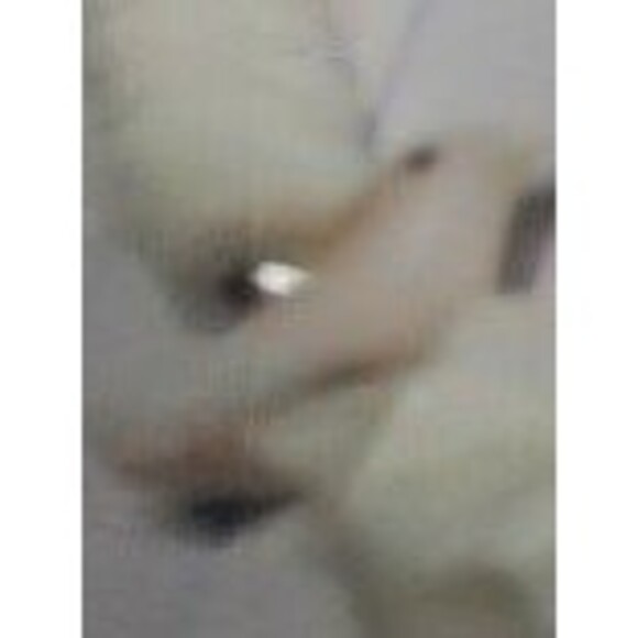 necklace puka shells and Hishih shells bird beads shell pink white - Picture 4 of 5